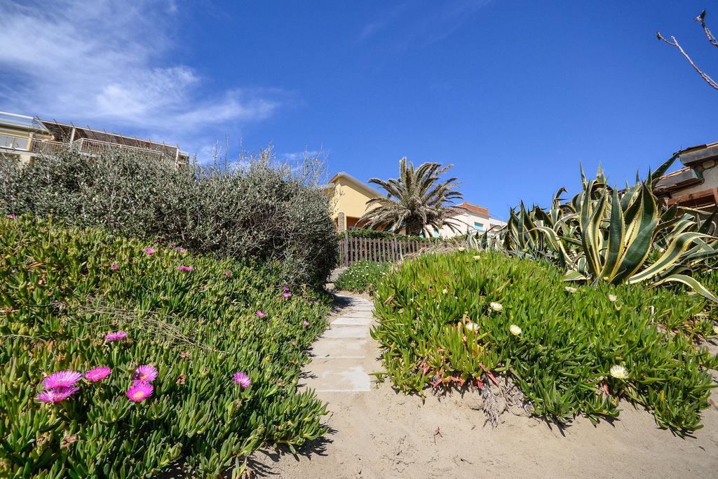 B&B Livia Castiglione della Pescaia Exteriör bild